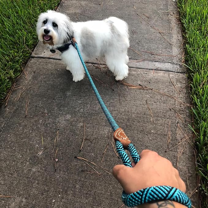 Mile High Life Rope Leash with Genuine Leather Connection, 6 FT/5 FT/4 FT, Heavy Duty Leash for Medium & Large Dogs (Turquoise Green, 48 Inch)