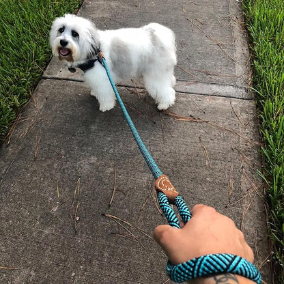 Mile High Life Rope Leash with Genuine Leather Connection, 6 FT/5 FT/4 FT, Heavy Duty Leash for Medium & Large Dogs (Turquoise Green, 48 Inch)
