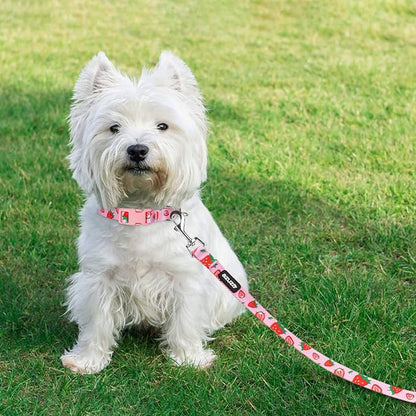 azuza Dog Collar and Leash Set, Cute Strawberry Patterns on Pink Nylon Collar and Matching Leash, Great Option for Extra Small Dogs