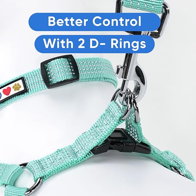 Pawtitas Reflective Step-in Dog Harness – Adjustable No-Pull Vest for Puppies to Seniors, Safe & Comfortable, M Teal
