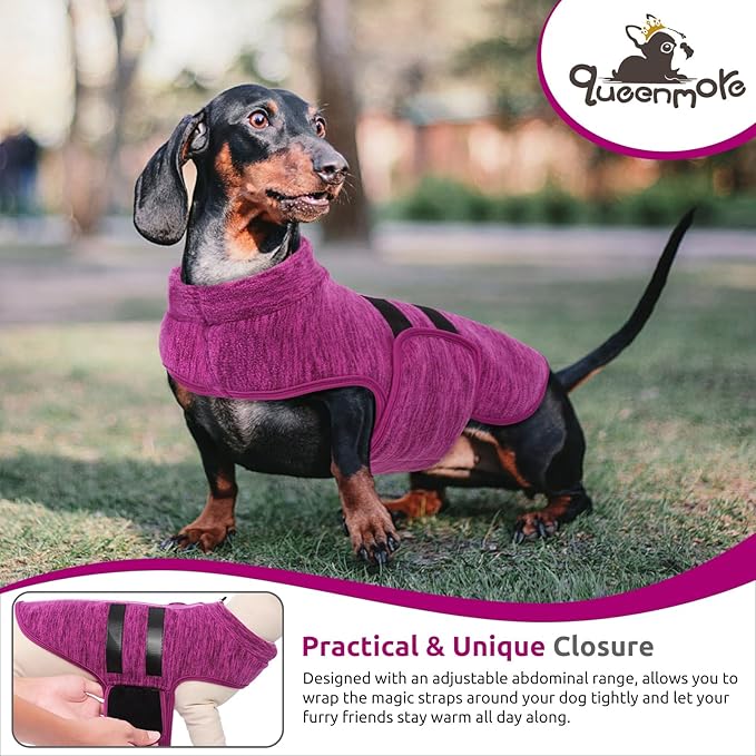 Queenmore XXS Dog Sweaters, Soft Fleece Vest Pullover Dog Jacket with Leash Hole, Warm Winter Dogs Clothes Cold Weather Doggy Dachshund Sweater for Small Dogs Cats Boy or Girl (Cationic Berry, XXS)