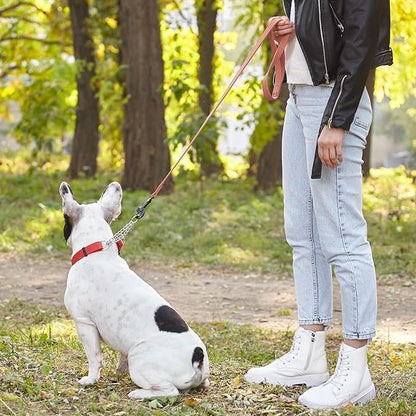 Dogline Biothane Waterproof Dog Leash Strong Coated Nylon Webbing with Black Hardware Odor-Proof Easy to Clean High Performance for Small or Large Dogs Made in USA 2 ft Lead, Coral