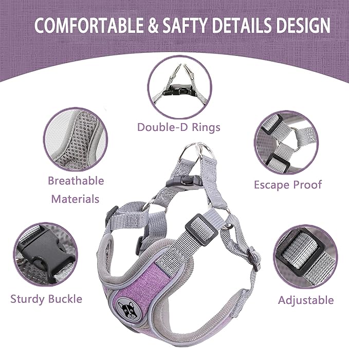 Puppy Harness and Leash Set,No Pull Adjustable Step in Soft Mesh Vest Harness,Easy Walk Reflective Pet Harness with Padded Handle for Walking Training Small Medium Large Dogs and Cats (Purple, XS)