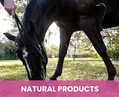 Gou Gou Pets Holistic Natural Derived Calming Pet Shampoo for Anxiety: Veterinarian Recommended: Providing Stress Relief for Dogs, Cats and Horses - Made in USA - 16 oz