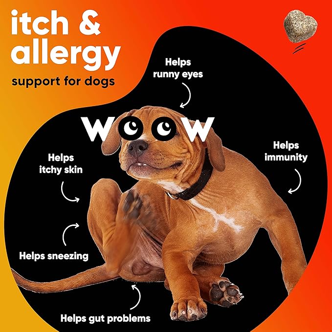 Allergy Relief & Itch Supplement for Dogs - with Omega 3 Wild Alaskan Salmon Oil and BettaBerries + YEA-SACC. Hot Spots, Anti Itch and Seasonal Allergies