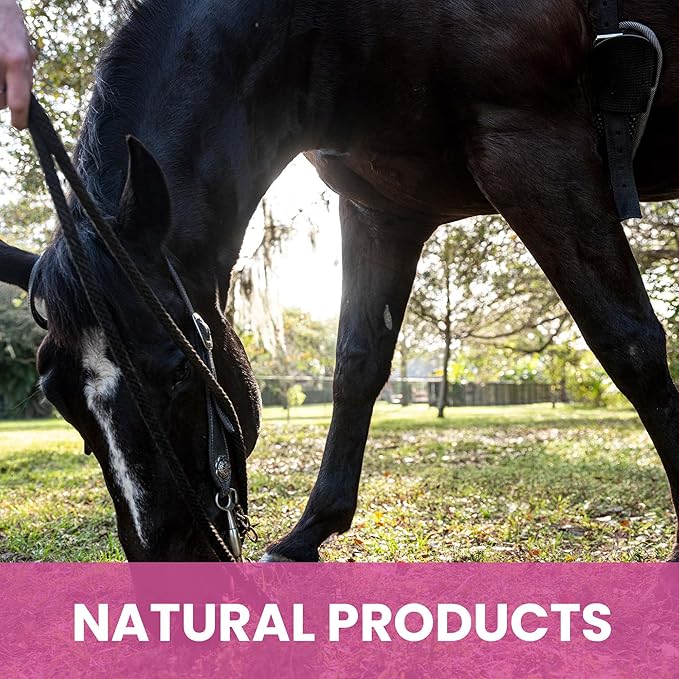 Gou Gou Pets Holistic Natural Derived Calming Pet Shampoo for Anxiety: Veterinarian Recommended: Providing Stress Relief for Dogs, Cats and Horses - Made in USA - 16 oz
