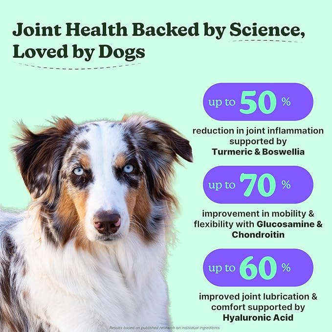 Hip & Joint Dog Supplement Chews, Chicken Flavor, 120 Count, Glucosamine, Chondroitin, MSM, Hemp Seed Oil & Turmeric, Joint Mobility, Flexibility & Comfort, Dogs of All Ages