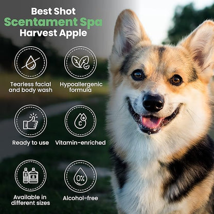 Best Shot Scentament Spa Seasonal Facial & Body Wash, Harvest Apple, 1 Gallon