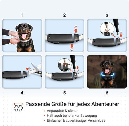 PAJ GPS – PAJ Light – Glowing LED Collar for Dogs – Cut-to-Fit (20–70 cm) – 100% Waterproof – 7 Color Modes – Night Safety & Visibility