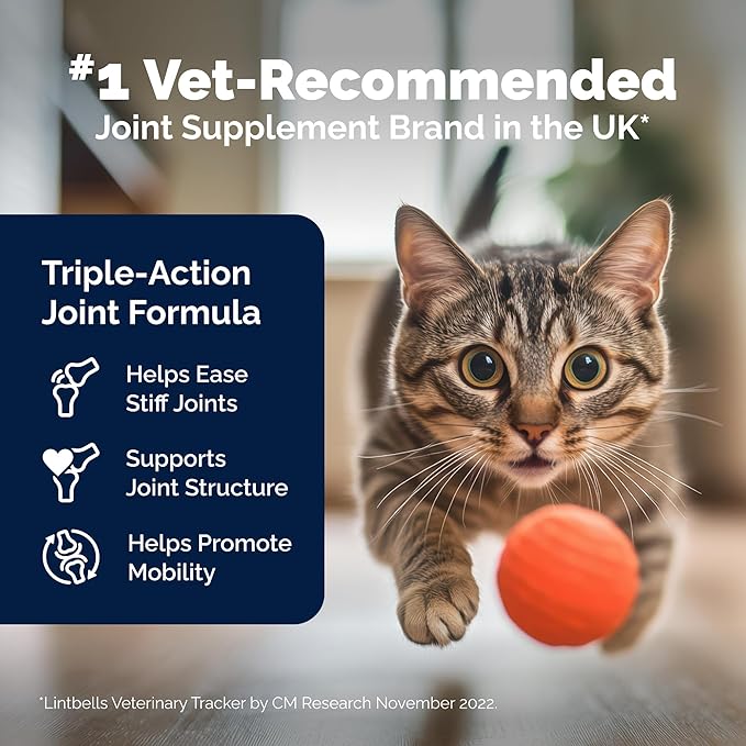 YuMOVE Cat Joint Supplement with Glucosamine,Chondroitin, Omega 3, Hyaluronic Acid, & Green Lipped Mussel - Joint Support Supplement - for Senior Cats 60 Capsules