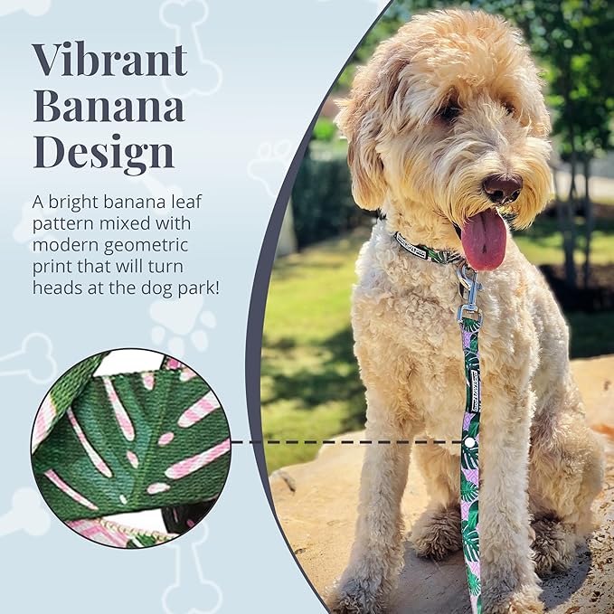 Lucky Love Dog Leash – Soft, Durable, and Comfortable Leash with Vibrant Patterns – Stylish and Long Lasting for Small Male and Female Dogs – Laguna, Small