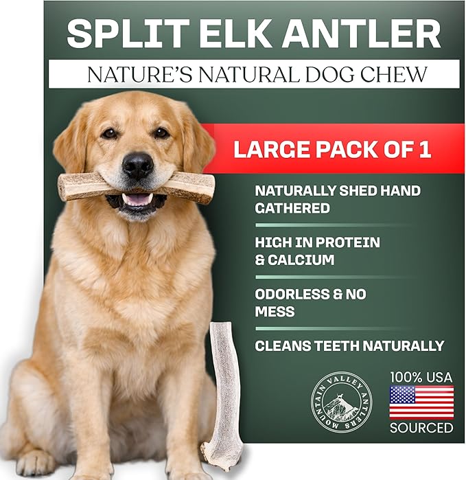 Mountain Valley Elk Antlers for Dogs - 100% Natural & Organic Chew for Aggressive Chewers, No Odor, No Mess, Long Lasting - Wild-Foraged Naturally Shed Antlers in USA - Grade A, Split Large (1 Pack)