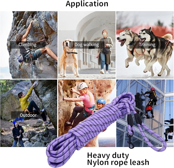 Long Dog Leash for Training 20Ft-Reflective Nylon Rope with Swivel Hook-Recall Agility Lead for Large Small Medium Dogs Outside Walking Hiking-Purple