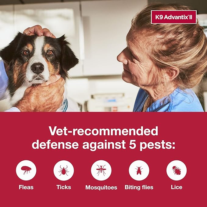 K9 Advantix II Large Dog Vet-Recommended Flea, Tick & Mosquito Treatment & Prevention | Dogs 21-55 lbs. | 2-Mo Supply (Packaging may vary)