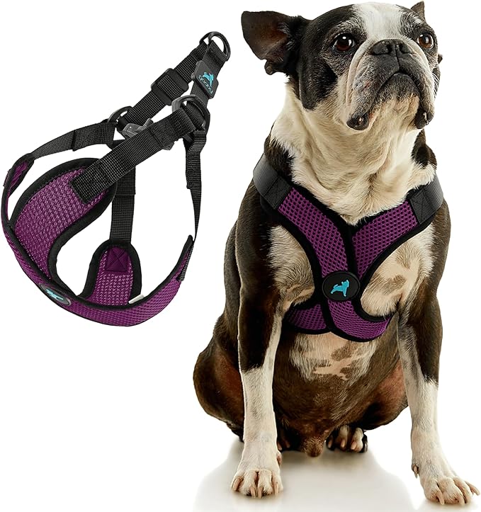 Gooby Comfort X Step in Lite Dog Harness - Choke Free, Escape Free with Light Breathable Mesh - Step in Dog Harness for Small Dogs Only - Quick Release Buckle, Metal D-Rings - Purple, Large