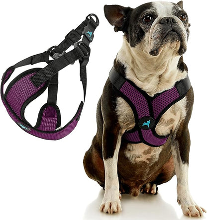 Gooby Comfort X Step in Lite Dog Harness - Choke Free, Escape Free with Light Breathable Mesh - Step in Dog Harness for Small and Medium Dogs - Quick Release Buckle, Metal D-Rings - Purple, Medium