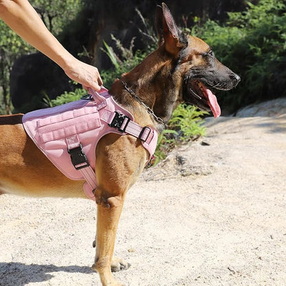 ICEFANG Tactical Dog Harness,Medium Size, 2X Metal Buckle,Working Dog MOLLE Vest with Handle,No Pulling Front Leash Clip,Hook and Loop Panel (Pink, M (Pack of 1))
