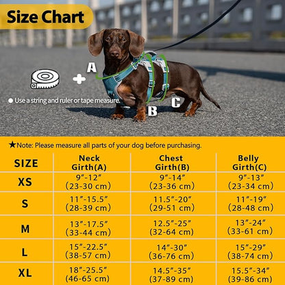 Huntboo Escape Proof Dog Harness, Escape Artist Harness, Fully Reflective Harness with Padded Handle, Breathable, Durable, Adjustable Vest for Small Dogs Walking, Training, and Running Gear (Teal,S)