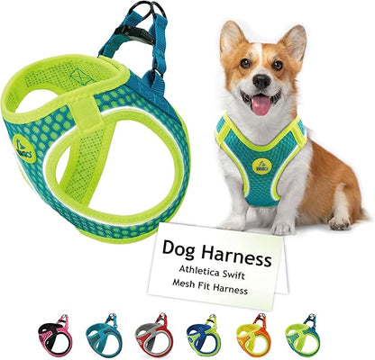 DOCO Dog Harness for Medium Sized Dog - Athletica Adjustable, No Pull, No Choke, Puppy Vest Lightweight Air Mesh, Reflective, Puppy Essentials – Turquoise, Medium (Chest 16"-17", Weight 10–15 lbs)