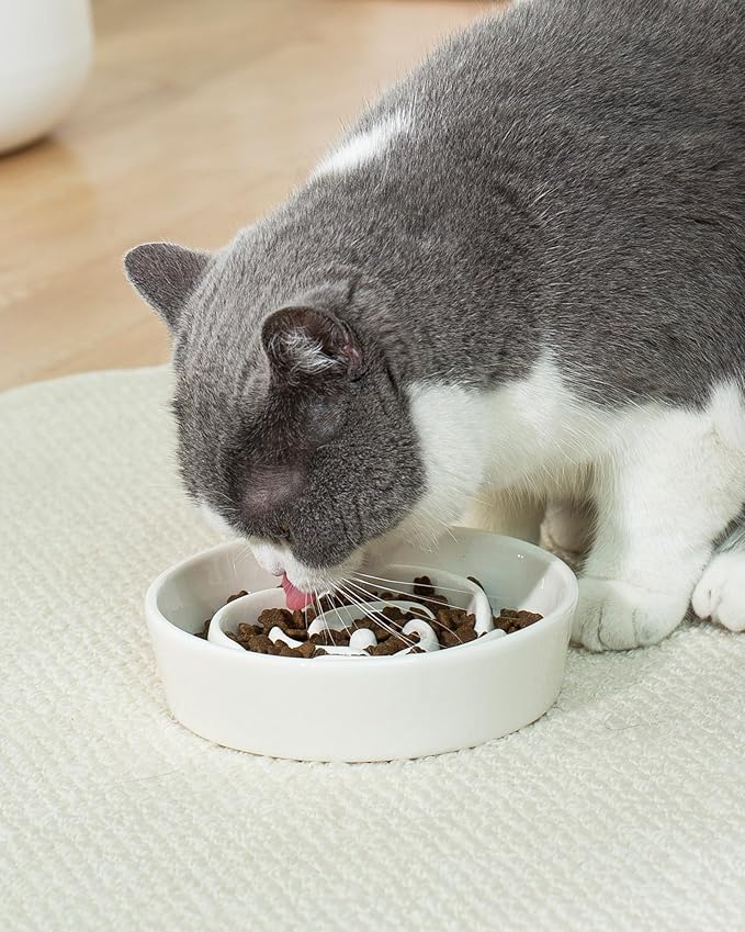 TRUVIC Ceramic Slow Feeder Dog Bowls Small Breed, 0.6 Cup Slow Feeder Cat Bowls for Fast Eaters, Ceramic Dog Food Dish no Black Chin, Puzzle Bowl for Small Dogs and Cats, White