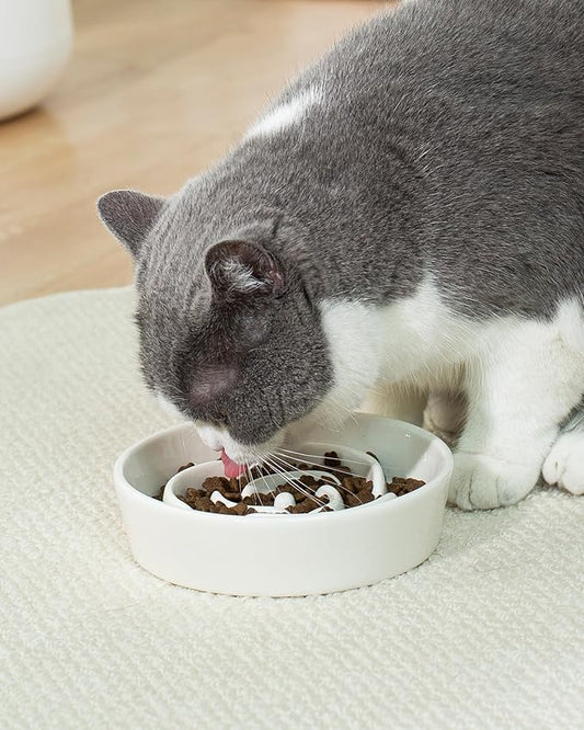 TRUVIC Ceramic Slow Feeder Dog Bowls Small Breed, 0.6 Cup Slow Feeder Cat Bowls for Fast Eaters, Ceramic Dog Food Dish no Black Chin, Puzzle Bowl for Small Dogs and Cats, White