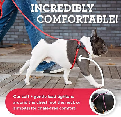 Harness Lead No Pull Dog Harness and Leash Set, Anti Pull Dog Harness, One-Piece Cushioned Rope Safely Prevents Escaping and Pulling *New Insert is Removable (Medium/Large, Reef)