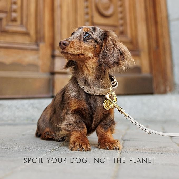 Nina Woof Rio Vegan Leather Dog Leash (4ft) Padded Luxury Lead - Compatible with Collars (Gold)