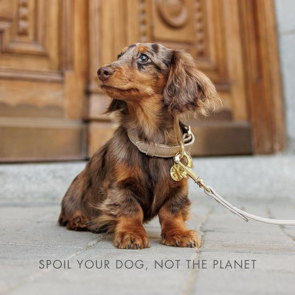 Nina Woof Rio Vegan Leather Dog Leash (4ft) Padded Luxury Lead - Compatible with Collars (Gold)