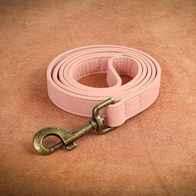 Didog PU Leather Dog Leash, Colorful Dog Leash 4ft, Strong and Durable Faux Leather Lead, Walking and Training Lead for Small Medium Dogs,Pink