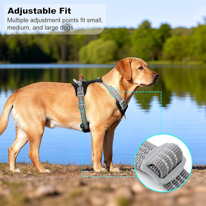 ApakBak No Pull Dog Harness – Adjustable Reflective Nylon Vest for Small Medium Large Dogs, Escape Proof Training Harness with Leather Control Handle, Lightweight Aluminum Hardware (Black, M)