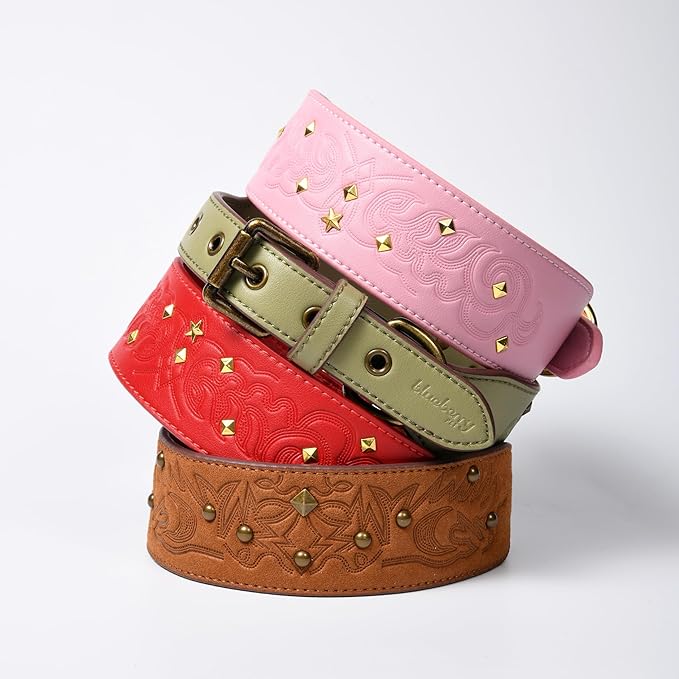 Blueberry Pet Premium Embossed Sage Green Glam Silver-Powered Freshness Microfiber Leather Dog Collar with Antique Brass Studs