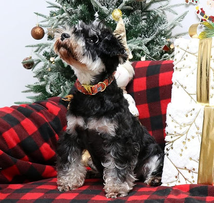 Unique style paws Dog Collar Metal Buckle Puppy Collar for Winter Christmas for Small Medium Large Boys Girls Dogs