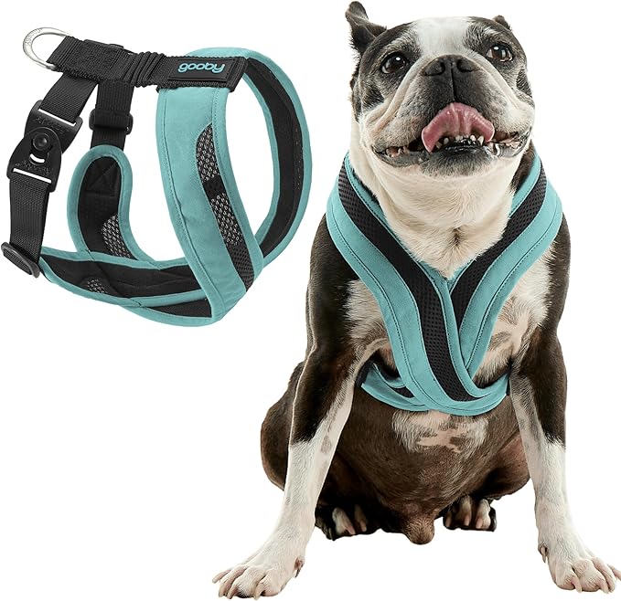 Gooby Comfort X One Dog Harness - Head-in Dog Harness for Small & Medium Sized Dogs - Escape-Free & Choke Free - Breathable Mesh, Shock Absorbing, Easy Snap & Swivel Buckles - Seattle Blue, X-Small
