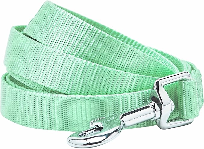 Blueberry Pet Essentials Pastel Green Dog Leash for Small -5' * 5/8" Dogs | Heavy Duty Nylon Lead | Lightweight Puppy & Cat Leash for Walking & Training