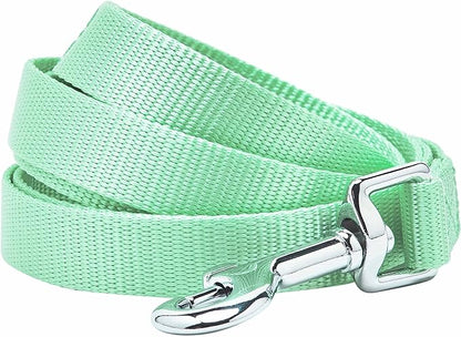 Blueberry Pet Essentials Pastel Green Dog Leash for Small -5' * 5/8" Dogs | Heavy Duty Nylon Lead | Lightweight Puppy & Cat Leash for Walking & Training
