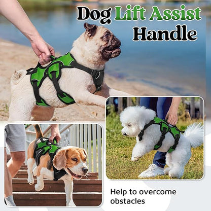 rabbitgoo Escape Proof Dog Harness, Soft Padded Full Body Pet Harness, Reflective Adjustable No Pull Vest with Lift Handle and Lesh Clip for Large Dogs Walking Hiking Training, S, Green
