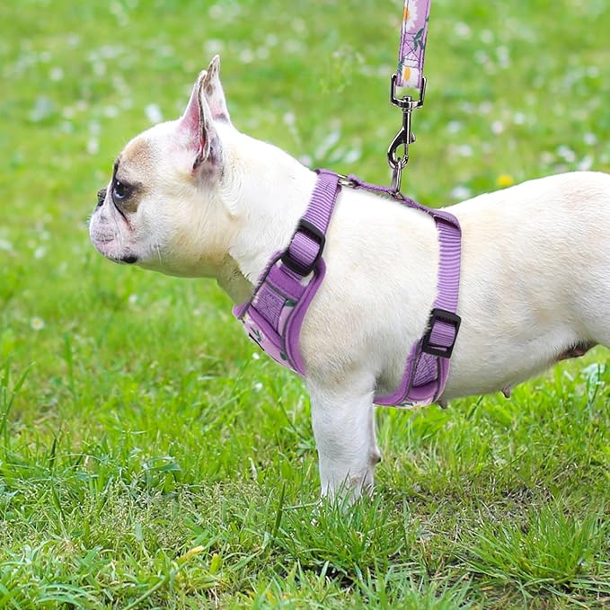 PUPTECK Small Dog Harness and Leash Set, No Pull Adjustable Puppy Cat Harness, Reflective Soft Mesh Pet Vest Small Sized, Daisy, M