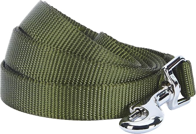 Blueberry Pet Essentials Military Green Dog Leash for Small -5' * 5/8" Dogs | Heavy Duty Nylon Lead | Lightweight Puppy & Cat Leash for Walking & Training
