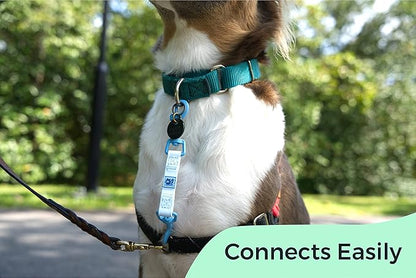 Gentle Creatures Collar Companion - Reinforced, Waterproof Poly Backup Clip for Dog Harness, Prong, Pinch Collars, Gentle Lead - Double Ended Swivel Clips - Harness to Collar Safety Clip, Clasp