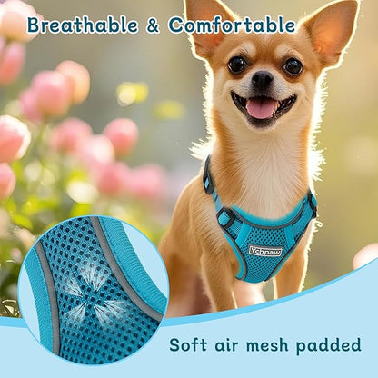 Small Dog Harness and Leash Set, Reflective Soft Breathable Mesh Vest, 3 Buckles, Adjustable Neck and Chest,Step in Dog Harness for Walking, Running, Training, Turquoise, S