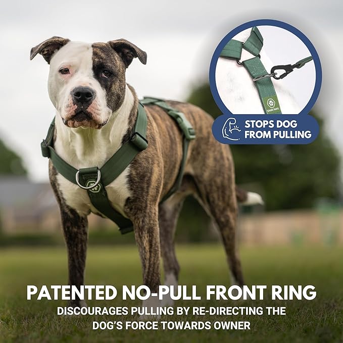 Spark Paws No Pull Dog Harness for Large Dogs, Heavy Duty Dog Harness for Big Strong Breeds, Adjustable, Y Shaped Padded Halter Design with Front Clip - Solid Green – L
