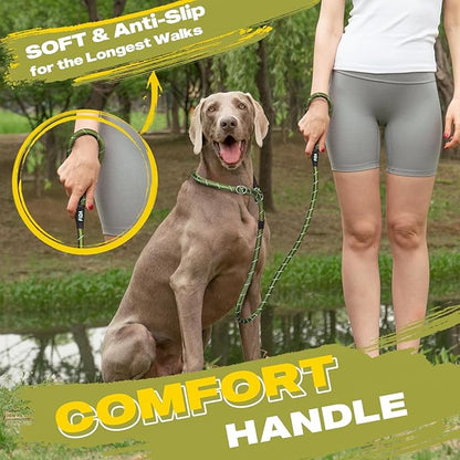 Fida Durable Slip Lead Dog Leash Bulk Pack of 5, Heavy Duty 1/2" x 6 FT Comfortable Strong Rope Slip Lead for Large, Medium & Small Dogs No Pulling Pet Training Leash with Highly Reflective (Mixed)