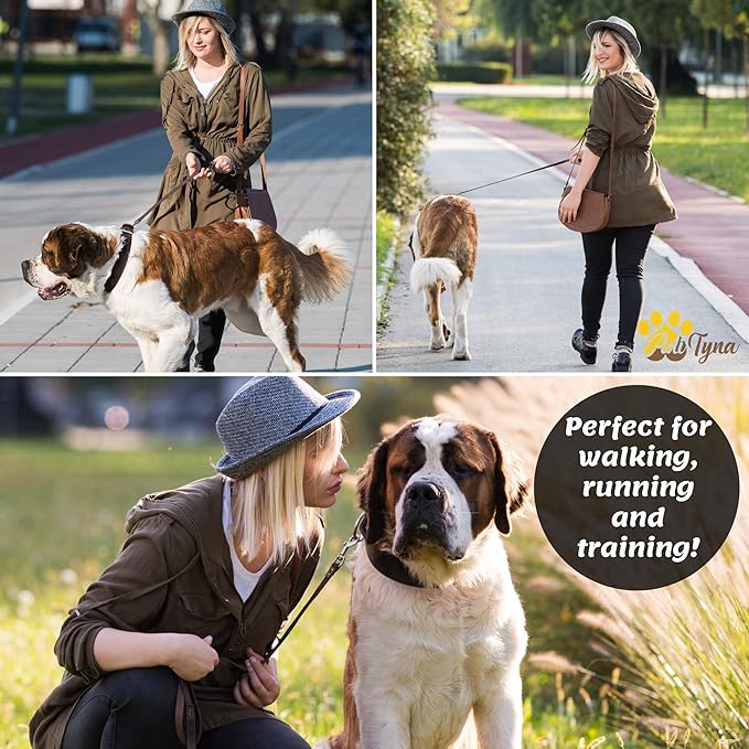 ADITYNA Heavy Duty Leather Dog Leash 6 ft x 1" - Strong, Soft Training Lead for Large & Extra Large Breeds (XL - 6 ft x 1 inch, Brown)