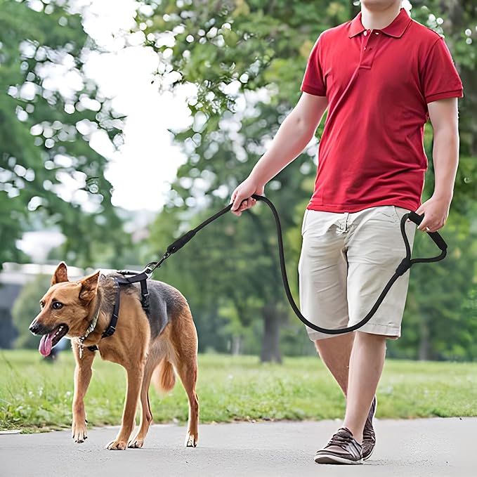 Mile High Life Dog Leash with Comfortable Padded Handle, Black Nylon Rope Leash, Heavy Duty 6 Feet Dog Leashes (Black)
