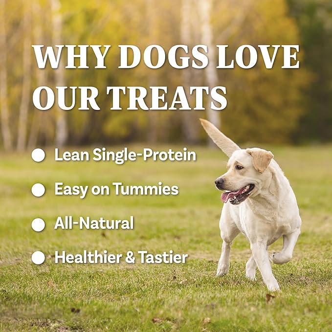 A Freschi srl Buffalo Dog Treats, All-Natural, Hypoallergenic, High Protein, Low Fat, Human Grade Puppy Chews – Healthy Grain-Free Training Treats, 4oz Jerky