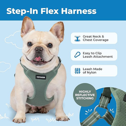 Best Pet Supplies Voyager Adjustable Step-in Flex Breathable Mesh Dog Harness for Small Medium Large Dogs Moss Green, M