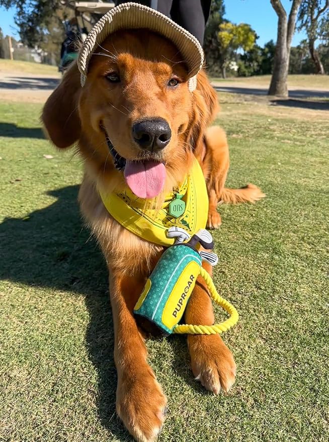 PUPROAR Golf Dog Toy – Funny Dog Valentines Day & Birthday Gift with Squeaker Rope & Crinkle, Fun & Interactive Puppy Birthday Toy