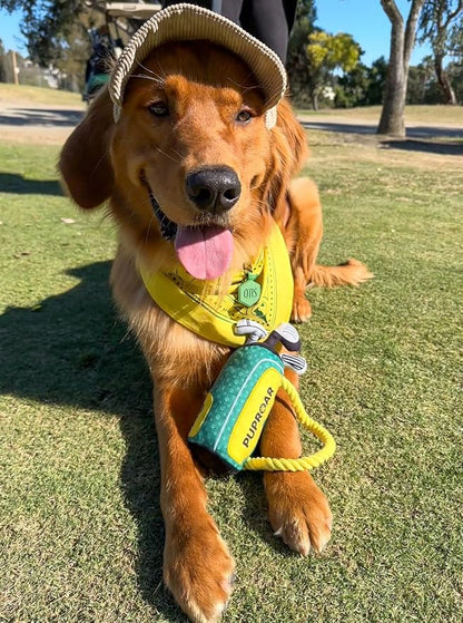 PUPROAR Golf Dog Toy – Funny Dog Valentines Day & Birthday Gift with Squeaker Rope & Crinkle, Fun & Interactive Puppy Birthday Toy