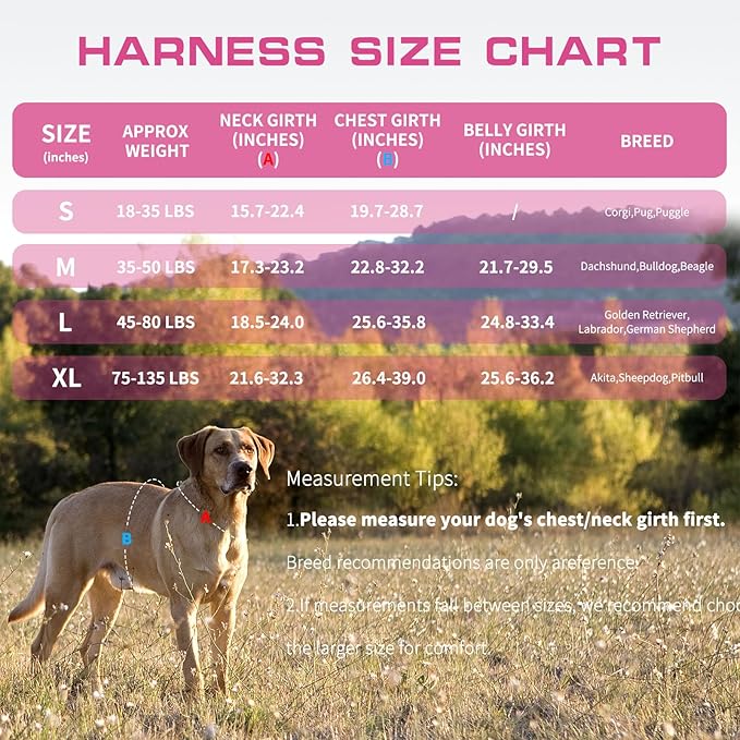 Dog Harness for Large Dogs Heavy Duty, No Pull Tactical Dog Harness with Molle System, Easy On and Off Service Dog Vest, Breathable Padded, Adjustable Reflective Pet Vest for Walking Hiking Training