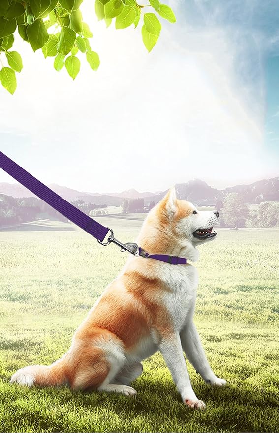 PETGOGO 15ft 20ft 30ft 40ft 50ft Long Dog/Puppy Lead Obedience Recall Training Dog Leashes for Small Medium Dogs Camping, Training, Play, or Backyard (Purple, 1" x 30FT)